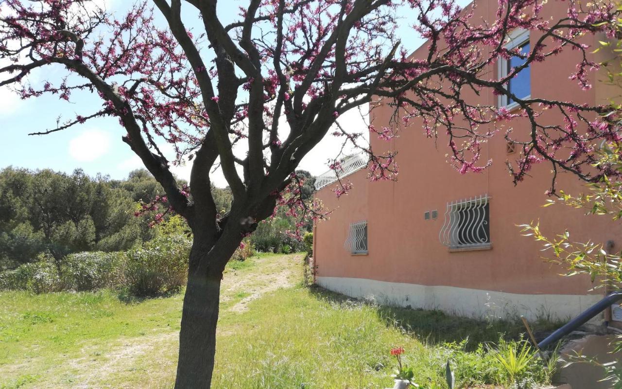 Apartament Studio 28M2 Climatise,Wifi, Proche Des Calanques,Plages La Ciotat Zewnętrze zdjęcie